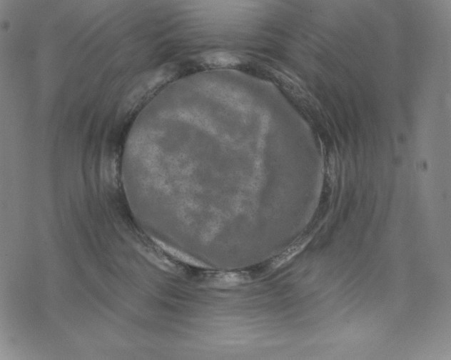 X0000074000330200609111604