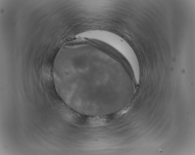 X0000074000331200609111604