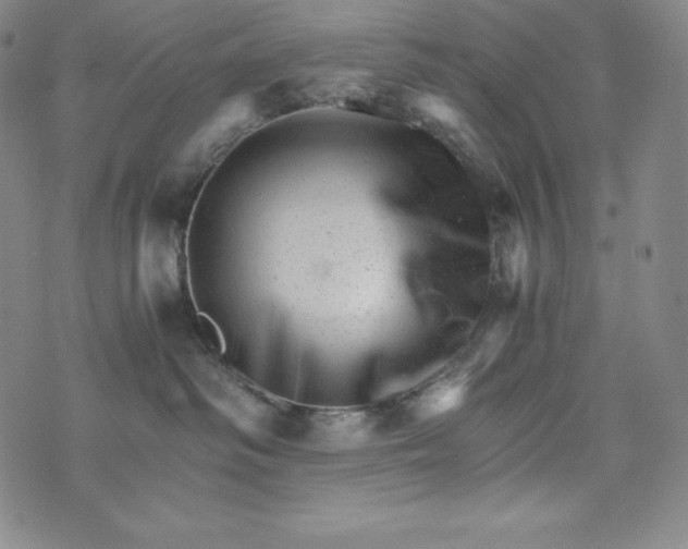 X0000074000334200609111604