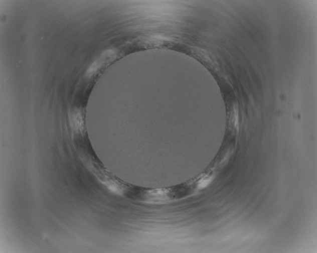 X0000074000335200609111604