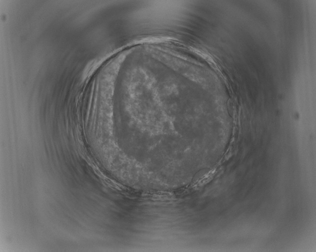 X0000074000337200609111604