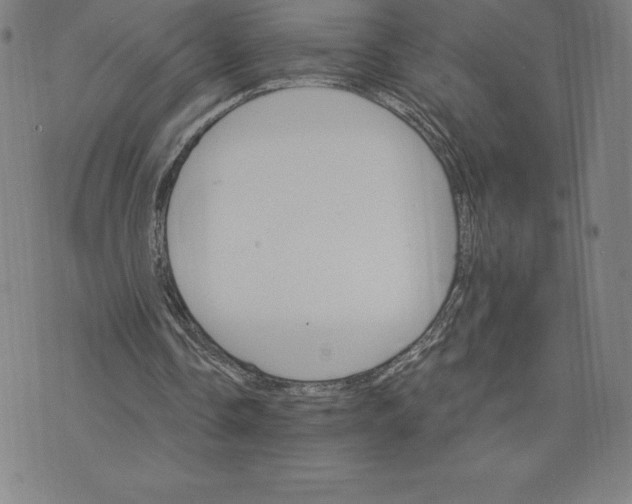 X0000074000338200609111604