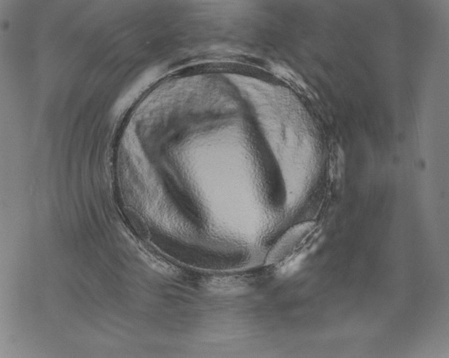 X0000074000341200609111604