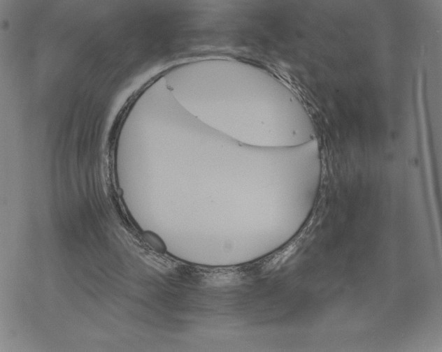 X0000074000342200609111604