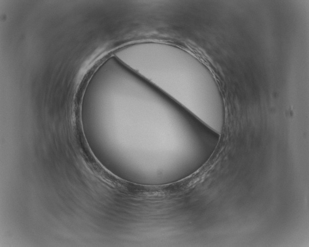 X0000074000344200609111604