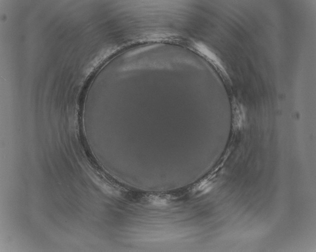 X0000074000346200609111604