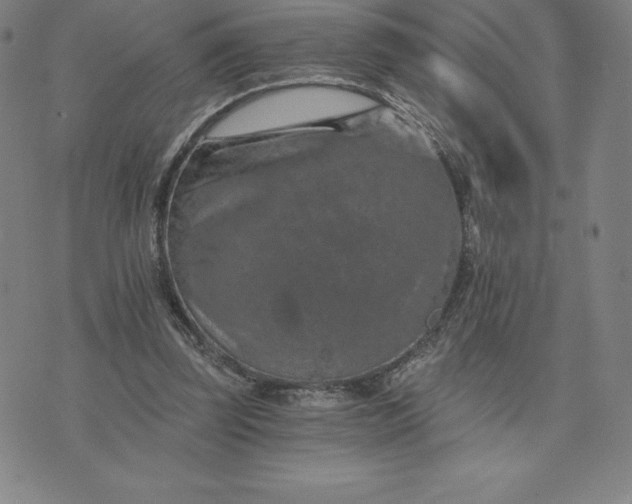 X0000074000347200609111604