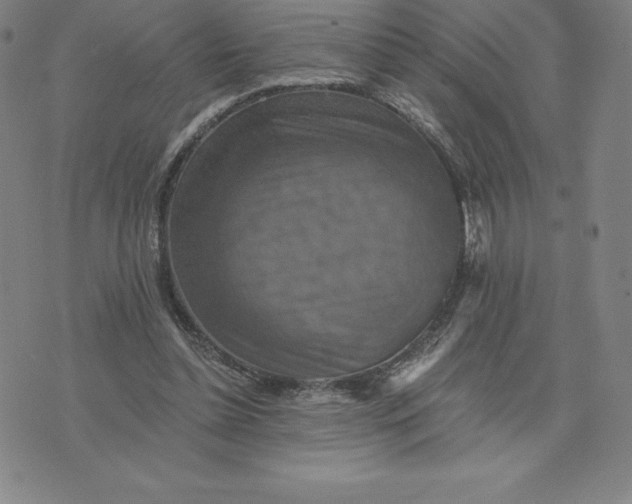 X0000074000348200609111604