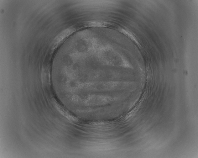 X0000074000349200609111604