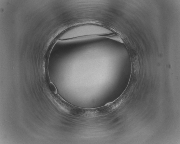 X0000074000350200609111604