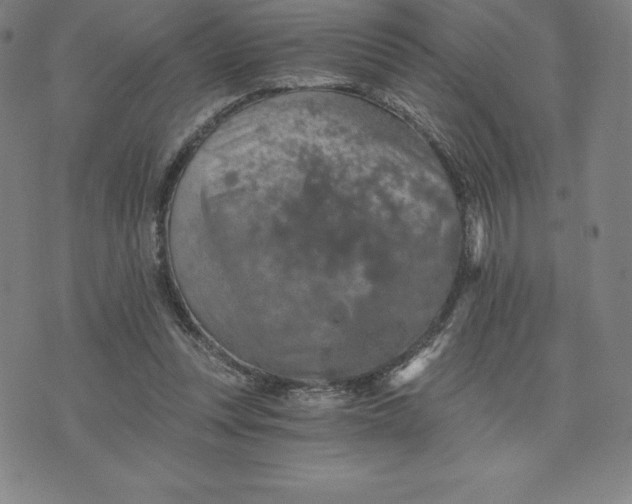 X0000074000351200609111604