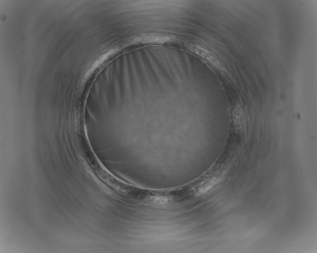 X0000074000352200609111604