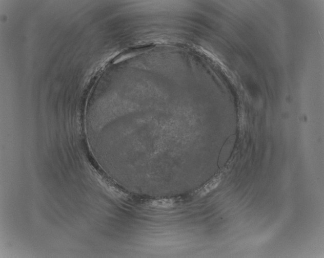 X0000074000353200609111604