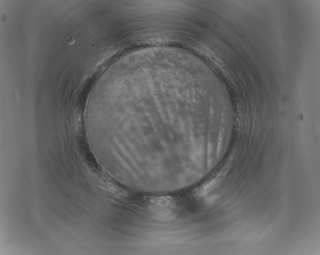 X0000074000355200609111604