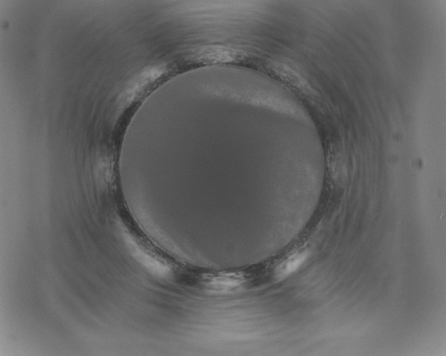 X0000074000359200609111604