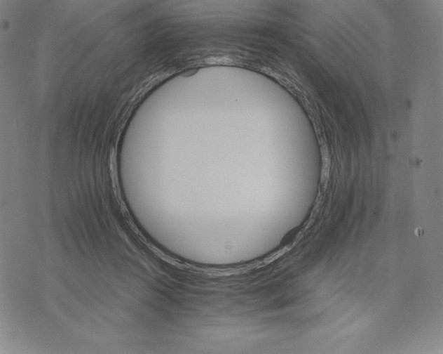 X0000074000360200609111604