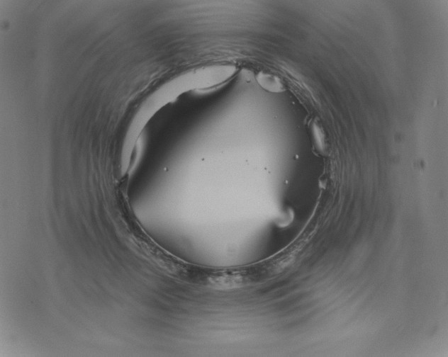 X0000074000362200609111604