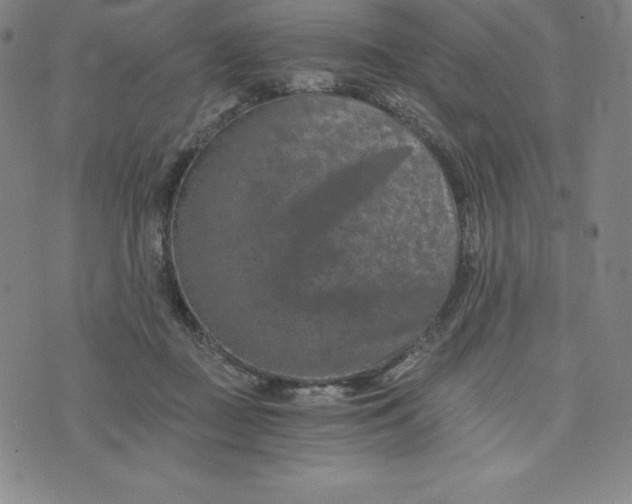 X0000074000363200609111604