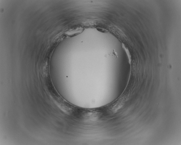 X0000074000364200609111604