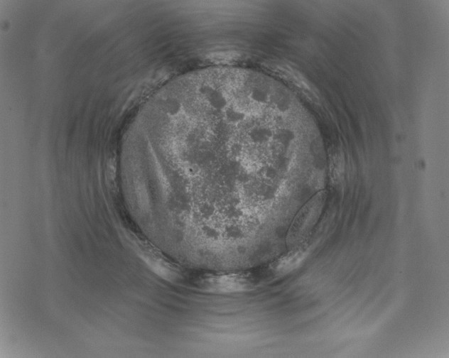 X0000074000365200609111604