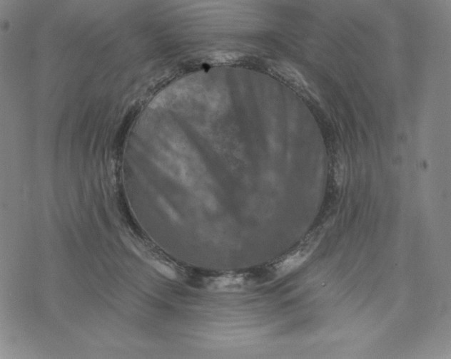 X0000074000366200609111604