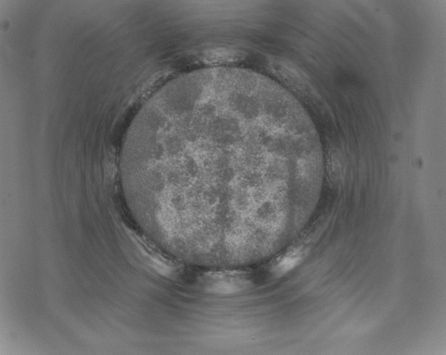 X0000074000367200609111604