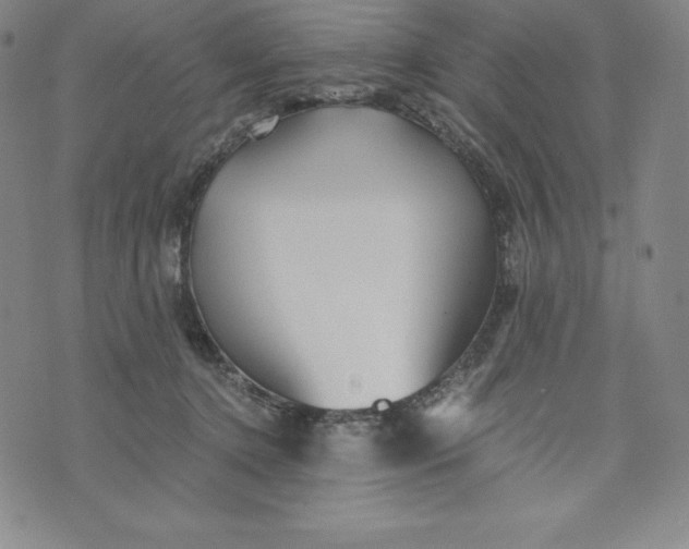 X0000074000368200609111604