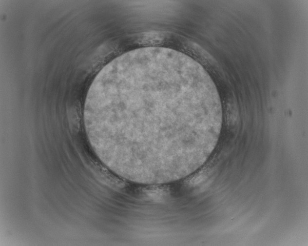 X0000074000370200609111604