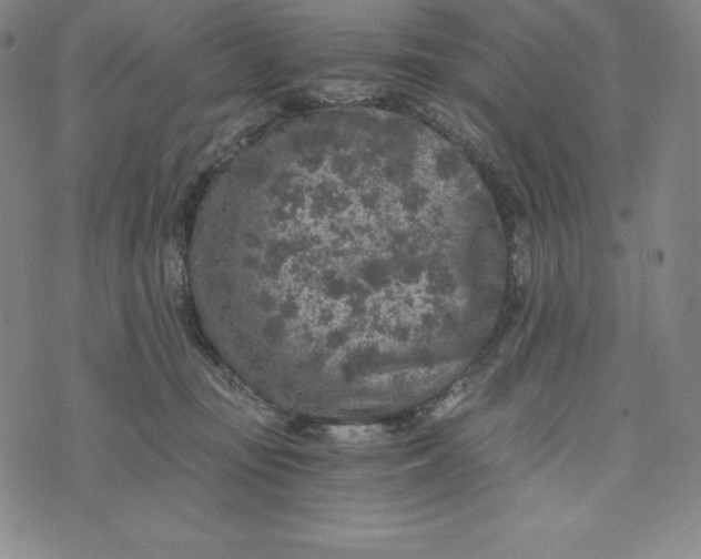 X0000074000371200609111604