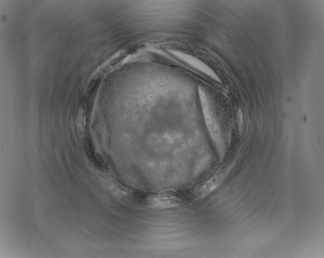 X0000074000372200609111604