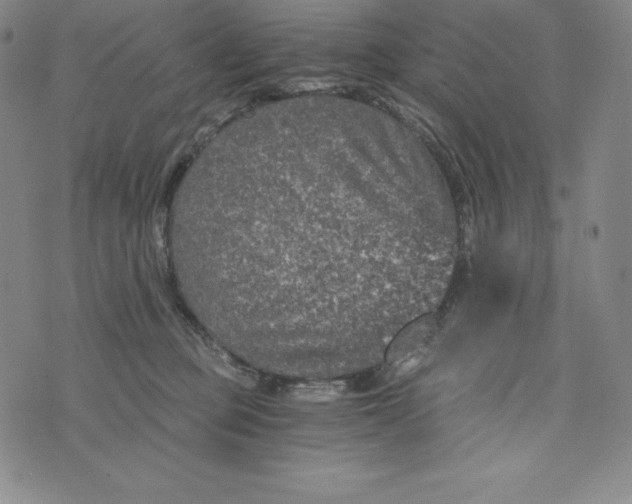 X0000074000373200609111604