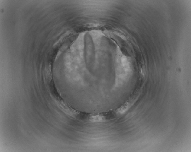 X0000074000376200609111604