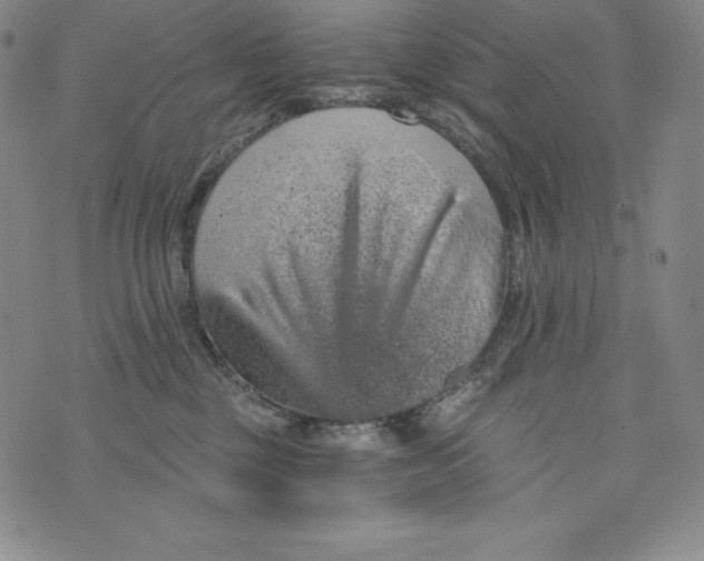 X0000074000377200609111604