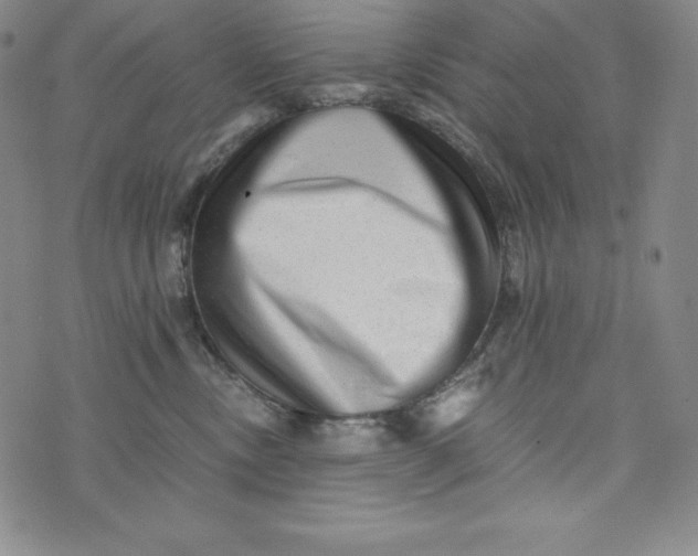 X0000074000378200609111604