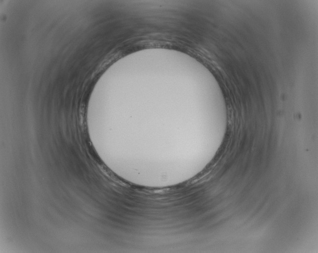 X0000074000382200609111604