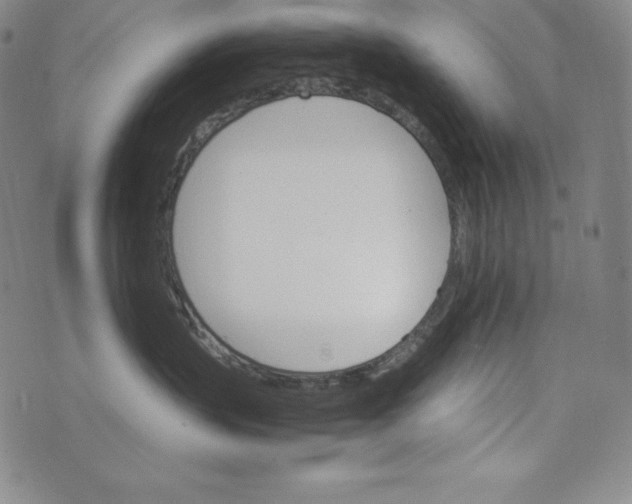 X0000074000383200609111604