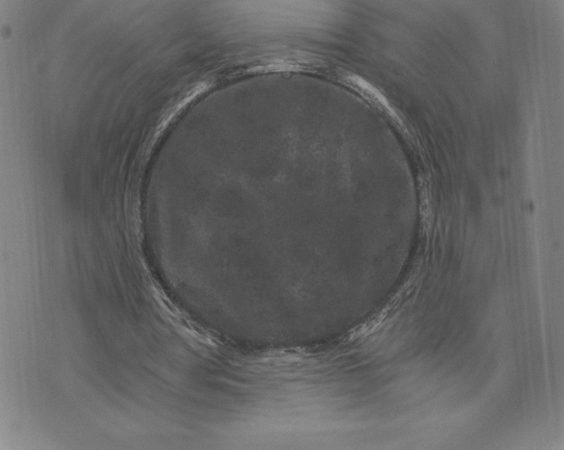 X0000074000386200609111604