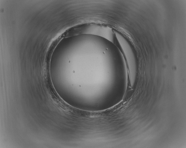 X0000074000388200609111604