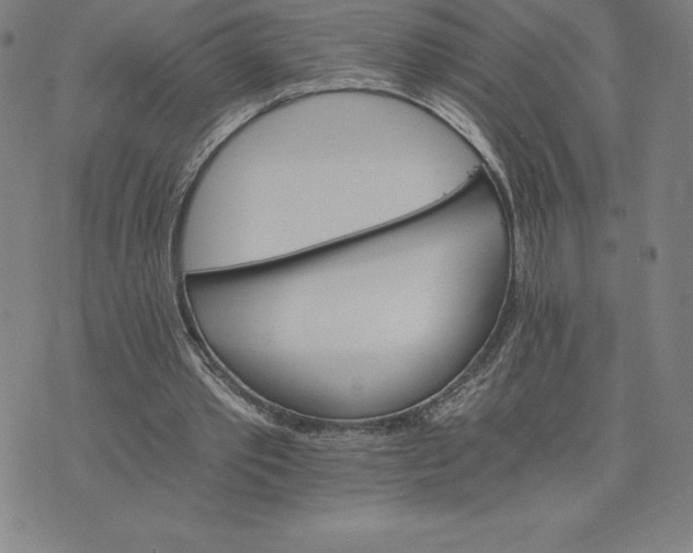 X0000074000389200609111604