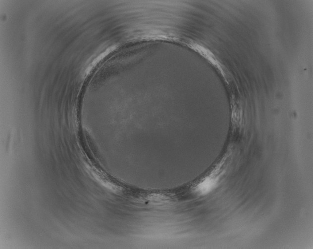 X0000074000390200609111604