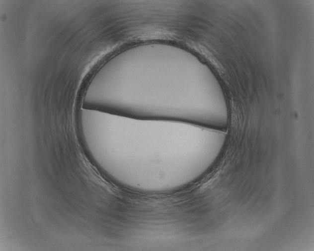 X0000074000391200609111603