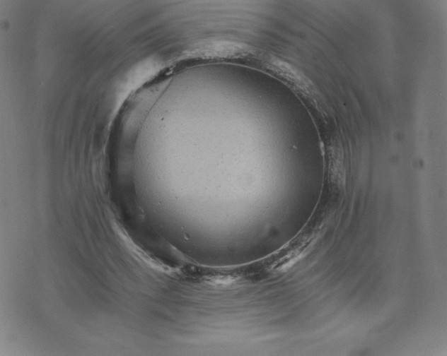 X0000074000392200609111603