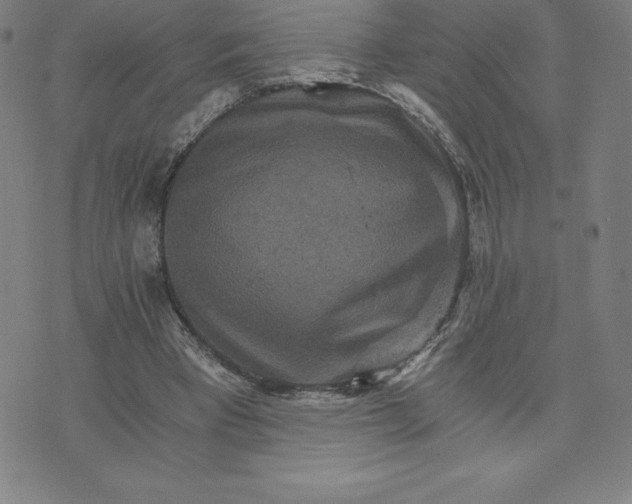 X0000074000393200609111603