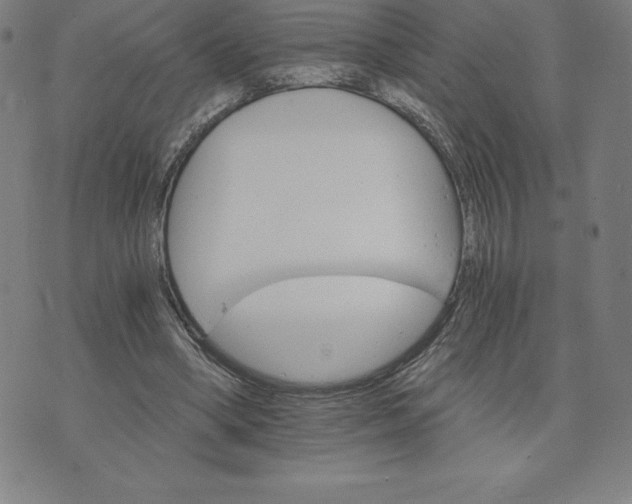 X0000074000394200609111603