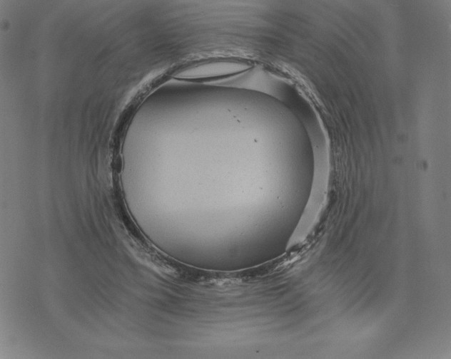 X0000074000395200609111603