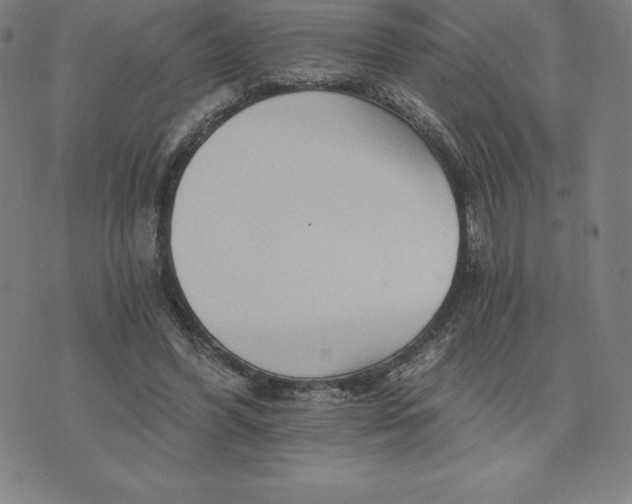 X0000074000396200609111603