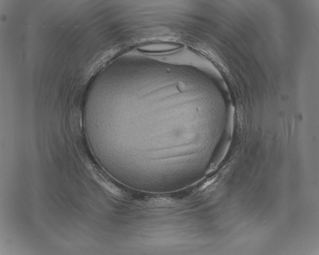 X0000074000397200609111603