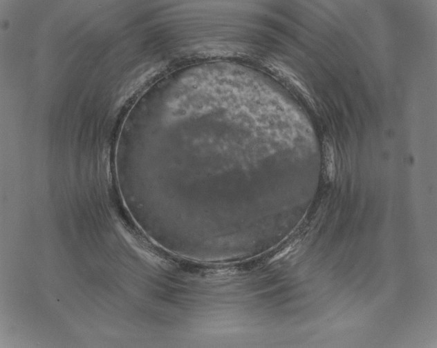 X0000074000398200609111603