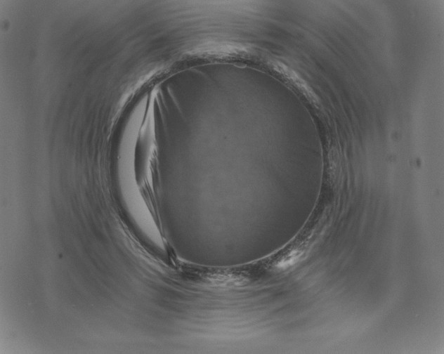 X0000074000399200609111603