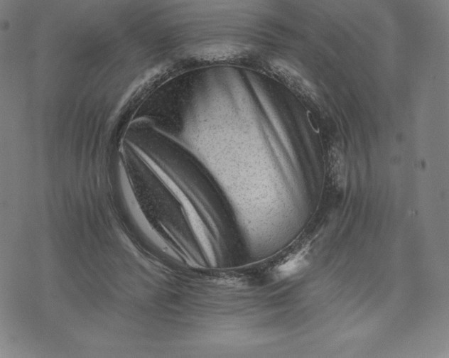 X0000074000400200609111603